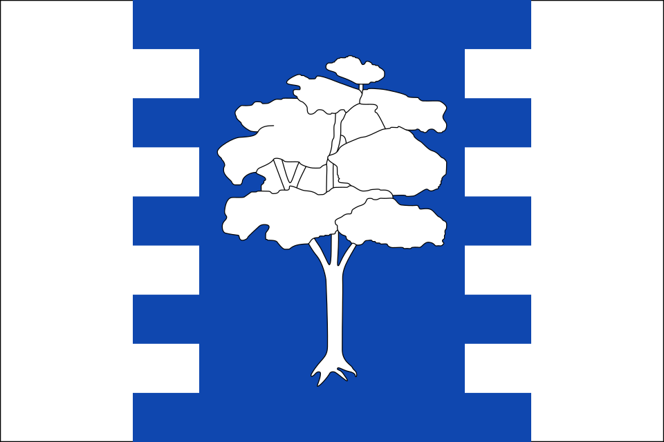 Bandera de Málaga