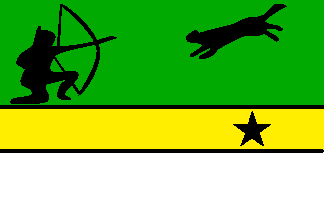 Bandera de Amazonas