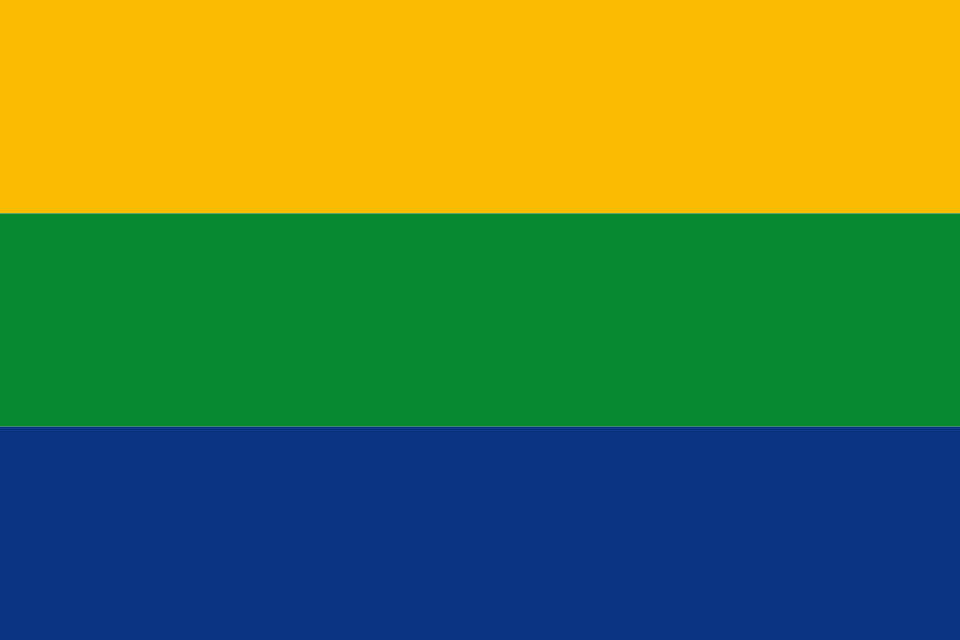 Bandera de Tolima