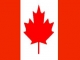 Bandera de Alicante