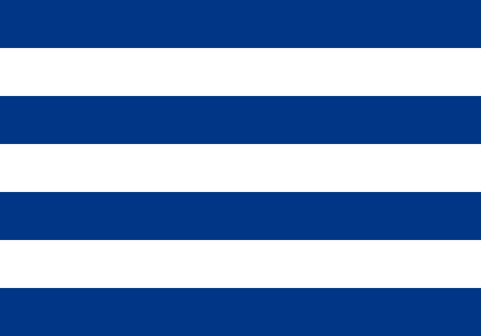 Bandera de Cerro Largo