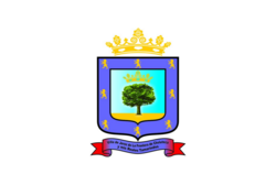 Bandera de Choluteca
