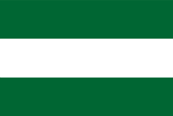 Bandera de Comayagua