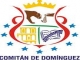 Bandera de Chiapas