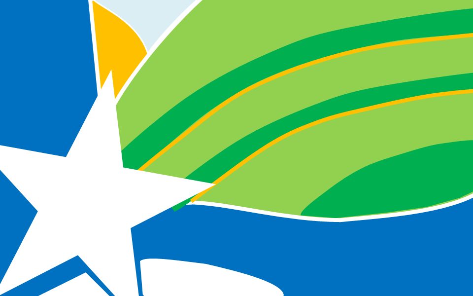 Bandera de Coquimbo