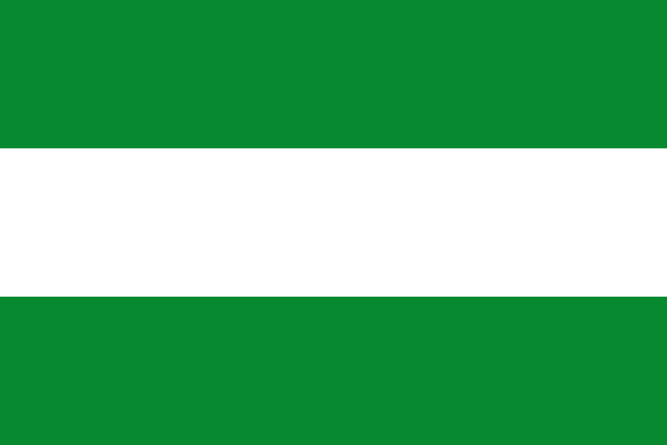 Bandera de Cesar