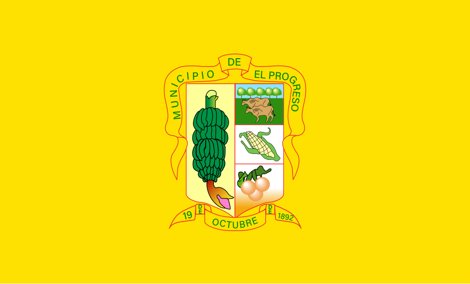Bandera de Yoro