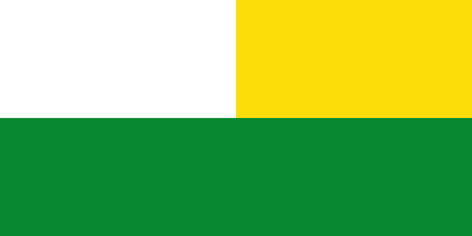 Bandera de Tolima