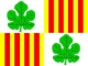 Bandera de Girona