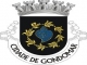 Bandera de Pontevedra