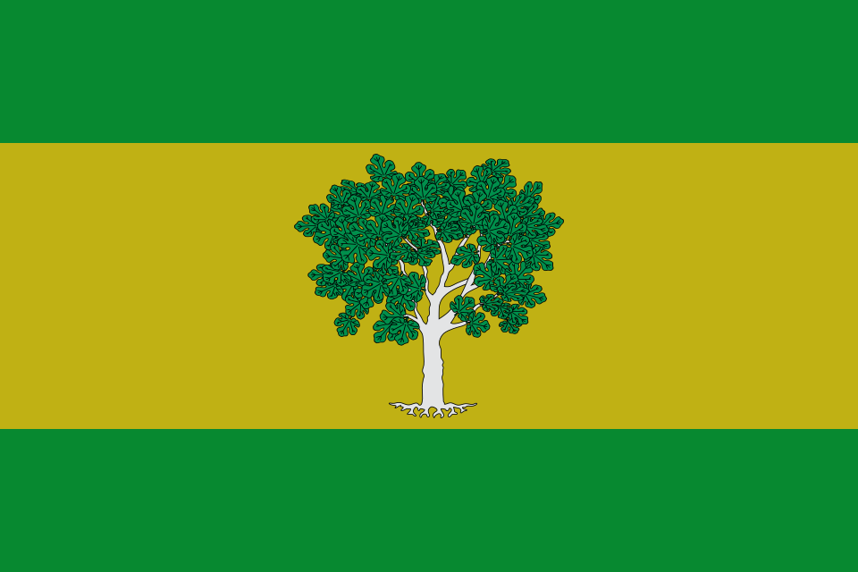 Bandera de Castellón
