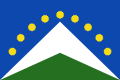 Bandera de Junín