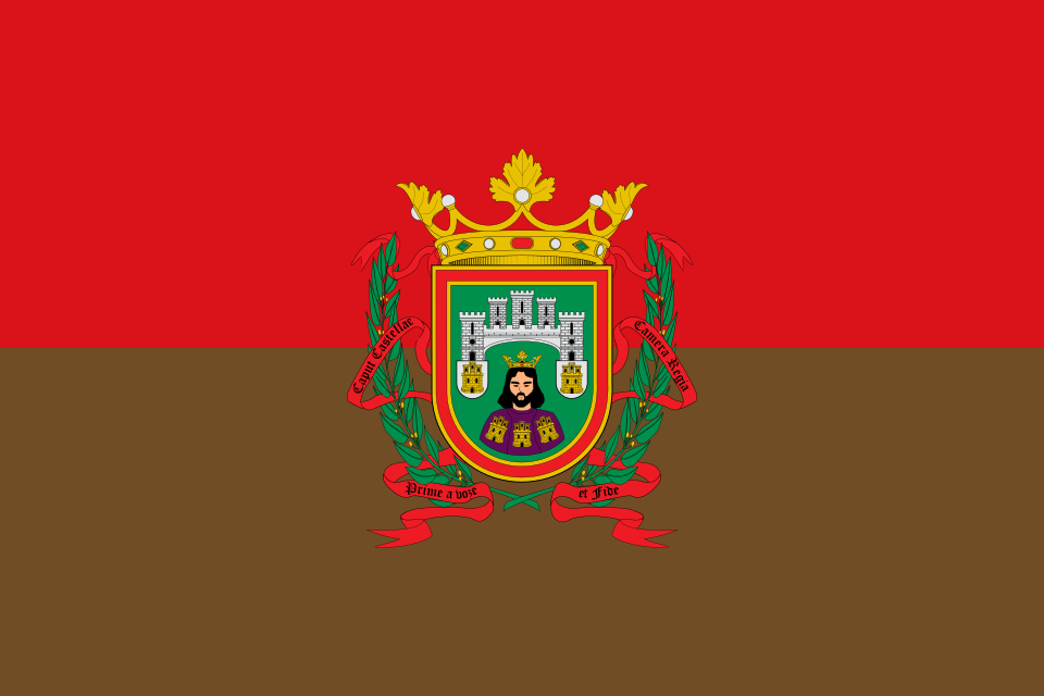 Bandera de Burgos