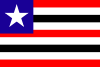 Bandera de Navarra