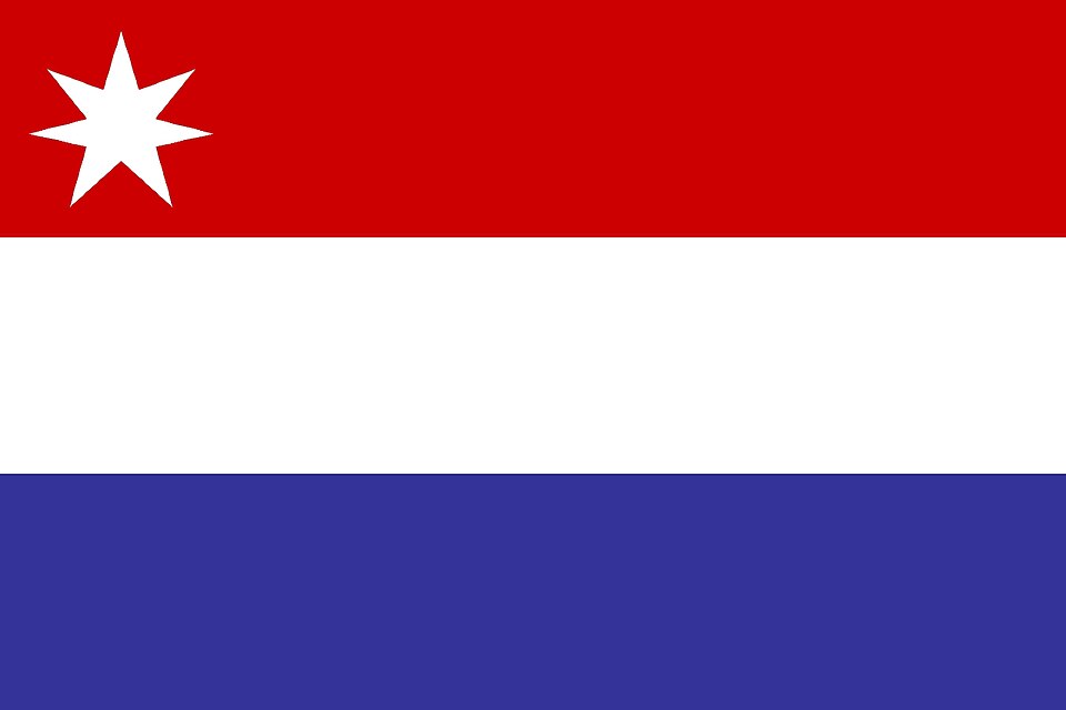 Bandera de Maule