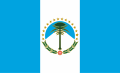 Bandera de Neuquén