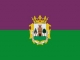 Bandera de Cáceres