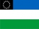 Bandera de Amazonas