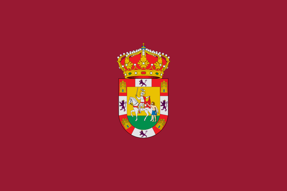Bandera de León