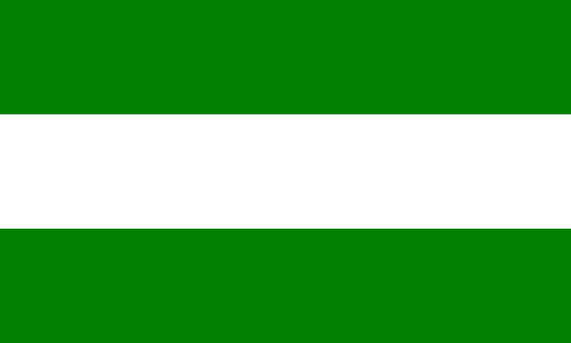 Bandera de Cotopaxi