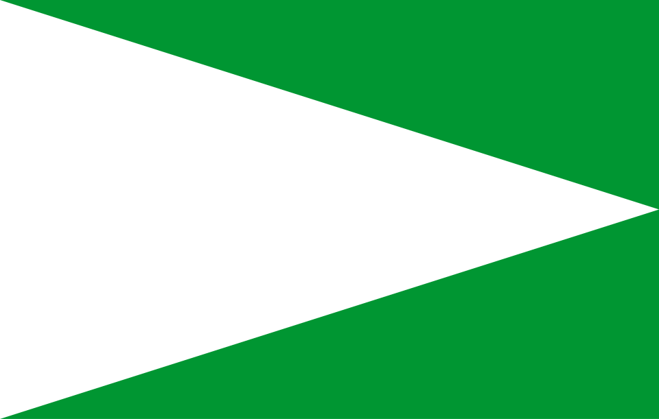 Bandera de Huila