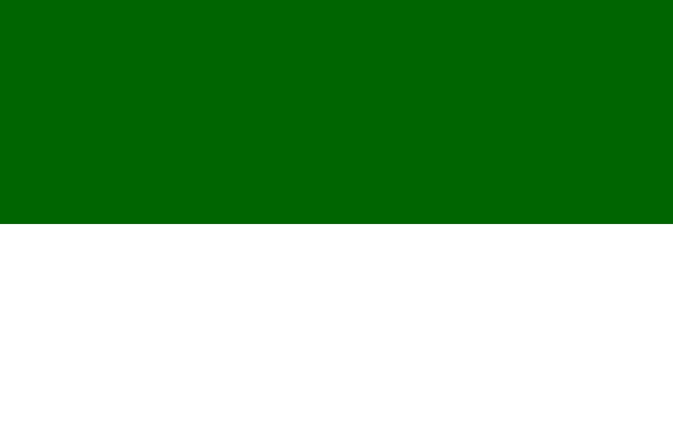 Bandera de Cesar