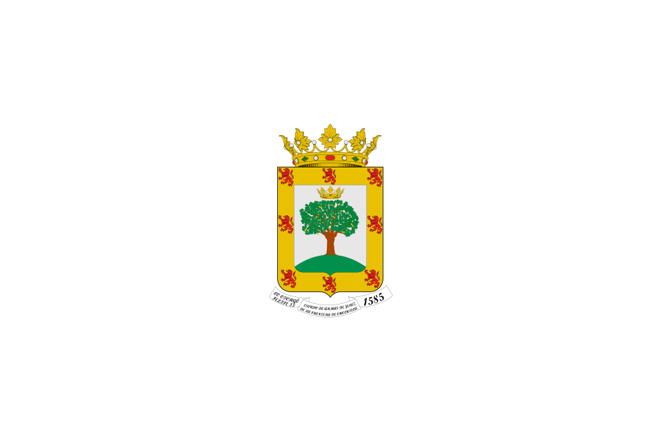 Bandera de Choluteca