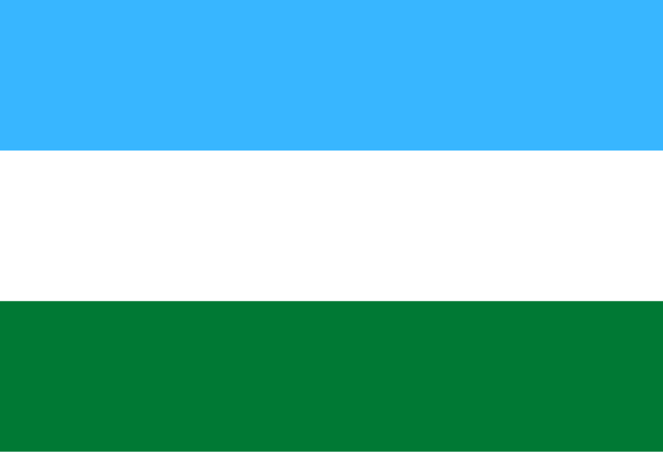 Bandera de Beni