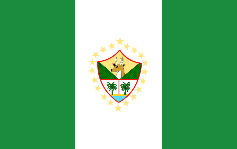 Bandera de San Marcos