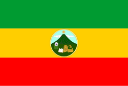 Bandera de San Marcos