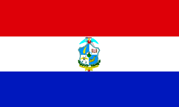 Bandera de San Miguel