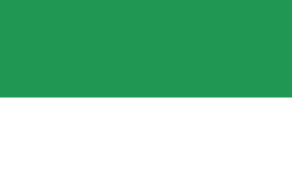 Bandera de Santa Bárbara