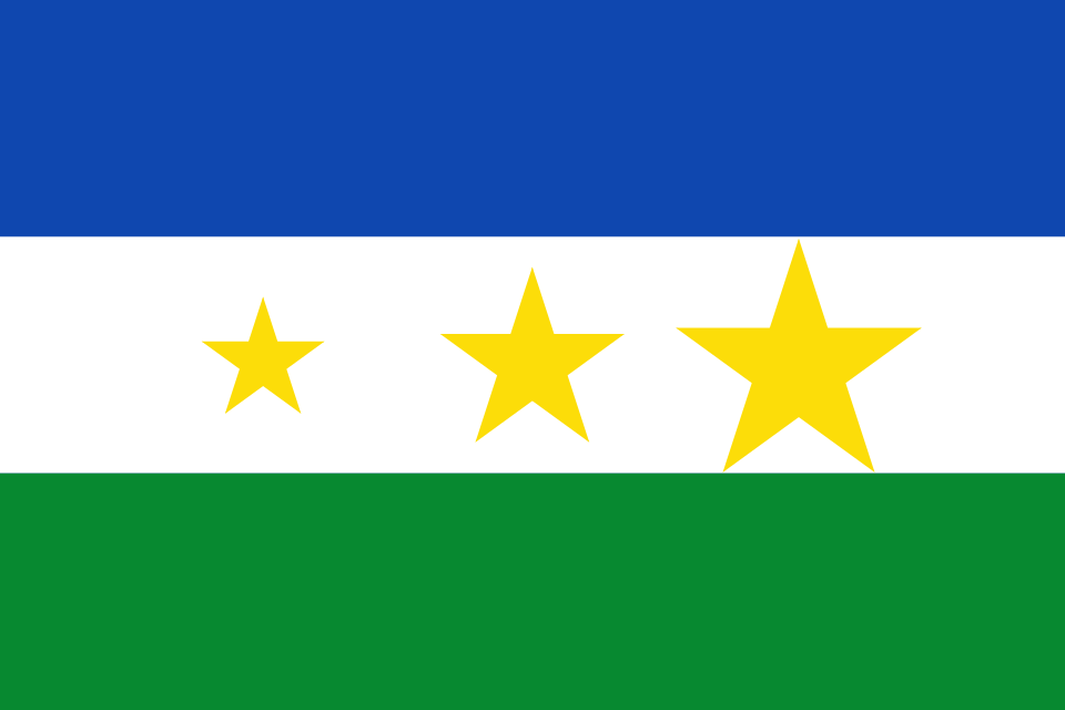 Bandera de Tolima