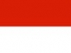Bandera de Tarija