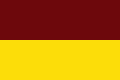 Bandera de Tolima