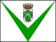 Bandera de Lugo
